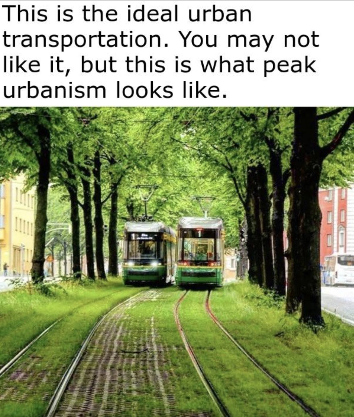 The meme is a commentary on urban transportation. The image shows a serene, tree-lined street with a tramway running through it, surrounded by greenery. The text at the top of the image reads, "This is the ideal urban transportation. You may not like it, but this is what peak urbanism looks like."